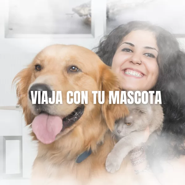 CERTIFICADO DE SOPORTE EMOOCIONAL 